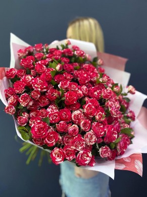 Букет из 25 красно-белых кустовых роз