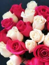 Букет из 25 белых и розовых роз