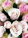 Букет из роз Карамельный микс