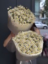 Букет из ромашек