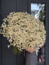 Букет из ромашек