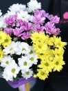 Букет из 7 кустовых разноцветных хризантем