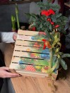 Подарочный бокс с луковицей Амариллиса