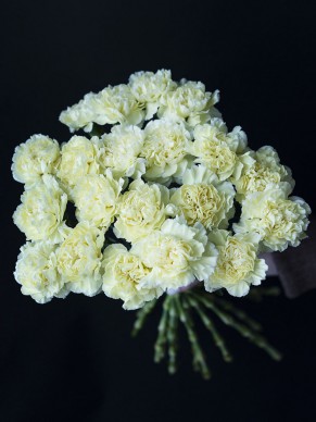 Гвоздика лимонная 