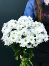 Хризантема кустовая белая Ромашка