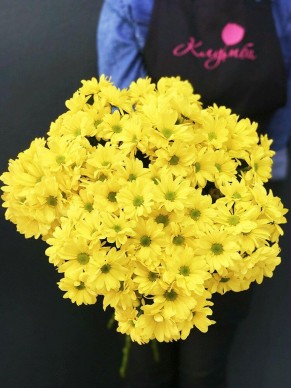 Хризантема кустовая желтая Ромашка