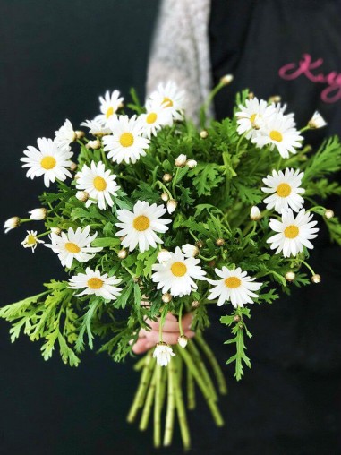 Ромашка одиночная