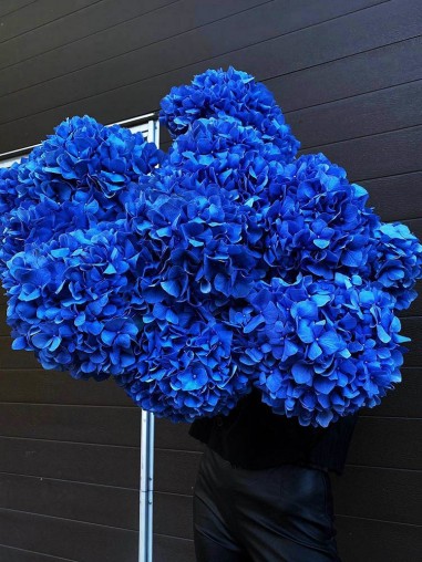 Букет 11 гортензий