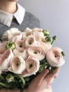 Букет 15 нежных ранункулюсов