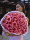 51 элитная роза Пинк Экспрешн