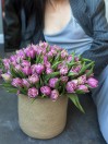 Моно из 51 пионовидного тюльпана в вязанной вазе