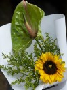 Букет из антуриума и подсолнуха 