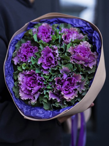 7 брассик в круглом оформлении