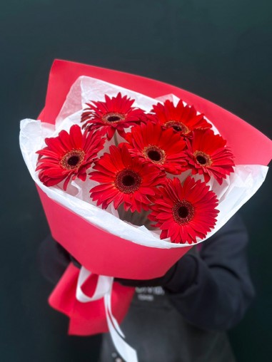 Букет 7 красных гербер