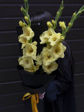 Букет из 3 желтых гладиолусов 