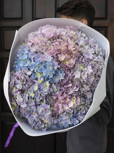 Моно из 5 гортензий 