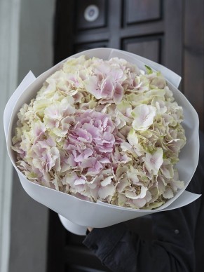 Моно из 9 гортензий 