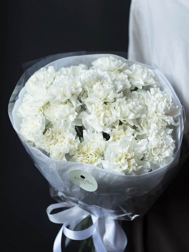 Моно из 21 гвоздики 