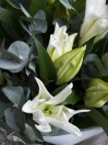 Букет из 5 лилий и эвкалипта 