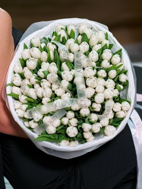 Моно из 101 белого тюльпана