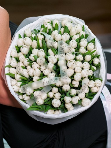 Моно из 101 белого тюльпана