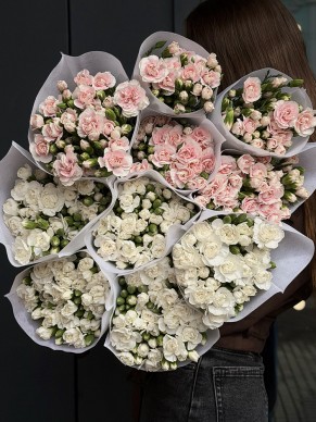 Гвоздика кустовая (оптом от 10 шт.)