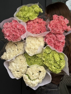 Гвоздика одиночная (оптом от 20 шт.)