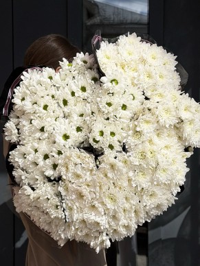 Кустовая хризантема (оптом от 9 шт.)