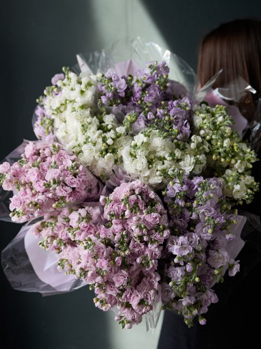 Маттиола кустовая (оптом от 9 шт.)