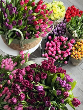 Тюльпаны (Оптом от 15 шт.)