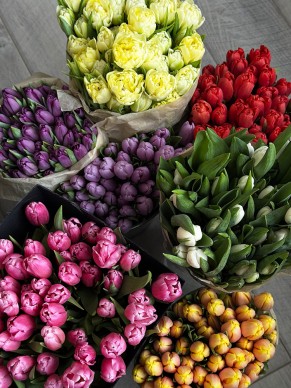 Тюльпаны (Оптом от 21 шт.)