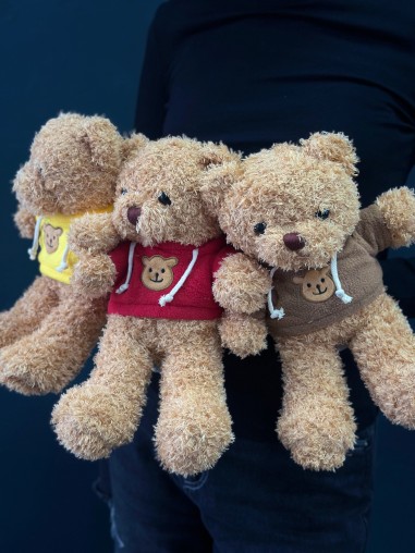 Мишка в свитере Девид