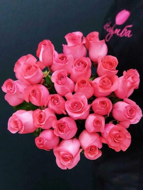 Роза Pink Love