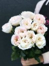 Роза садовая Charity (пионовидная)