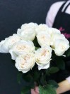 Роза садовая Purity (пионовидная)