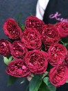 Роза садовая Tess (пионовидная)
