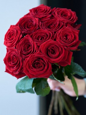11 красных роз в ленте 