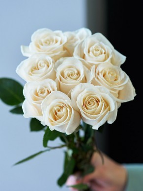 9 бежевых роз в ленте 