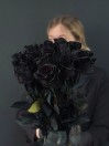 Роза Черная