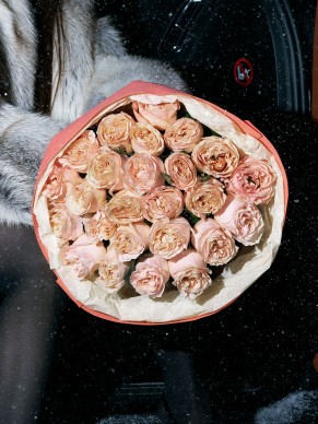 25 роз сорта Princess crown